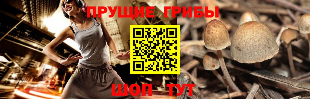 Псилоцибиновые грибы Magic Shrooms  Вход с VPN  Лангепас 